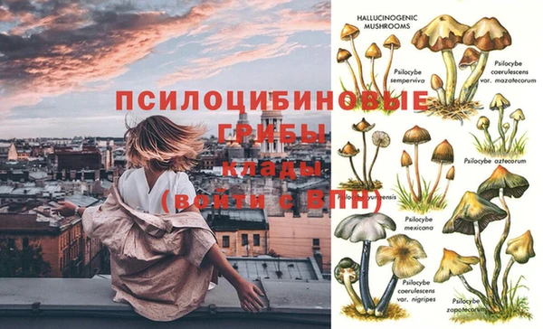 дмт Саяногорск