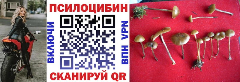 Галлюциногенные грибы Psilocybine cubensis  купить закладку  KRAKEN ссылки  Слюдянка 